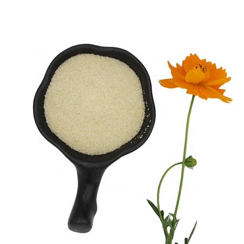 Wholesale Halal Edible Gelatin Powder From Bovine Skin for Gummies 140 Bloom